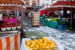 Der Markt ist gelaufen! / Mainz Januar 2010