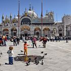 Der Markusplatz in Venedig