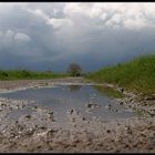 Der Marsch ins Gewitter