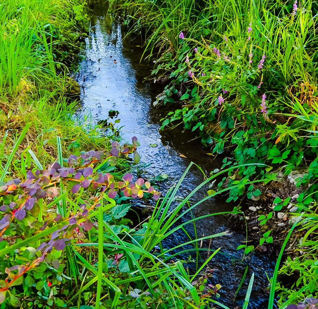 Der Mattenbach in Herten Baden