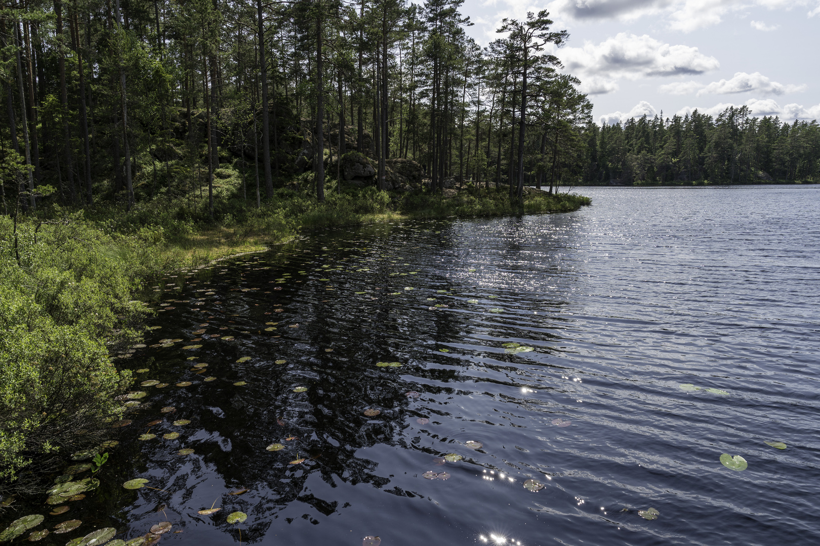 Der Meddesjön im Nationalpark Tiveden