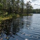 Der Meddesjön im Nationalpark Tiveden