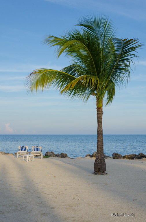 Der Meerblick von Islamorada