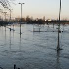 Der mein bei Hochwasser