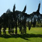 Der meistfotografierte Baum im Botanischen Garten in Karlsruhe