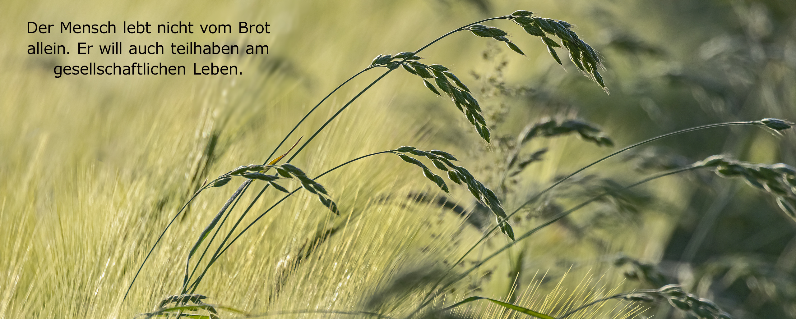 Der Mensch lebt nicht vom Brot allein