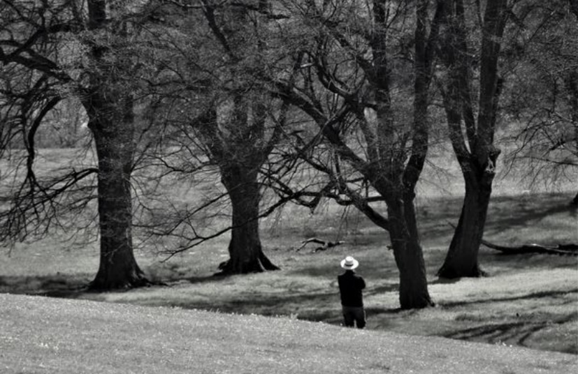 der Mensch und die Natur 