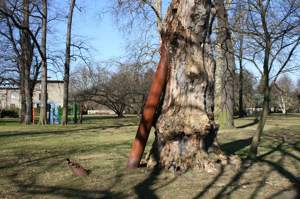 Der Mensch und die Natur