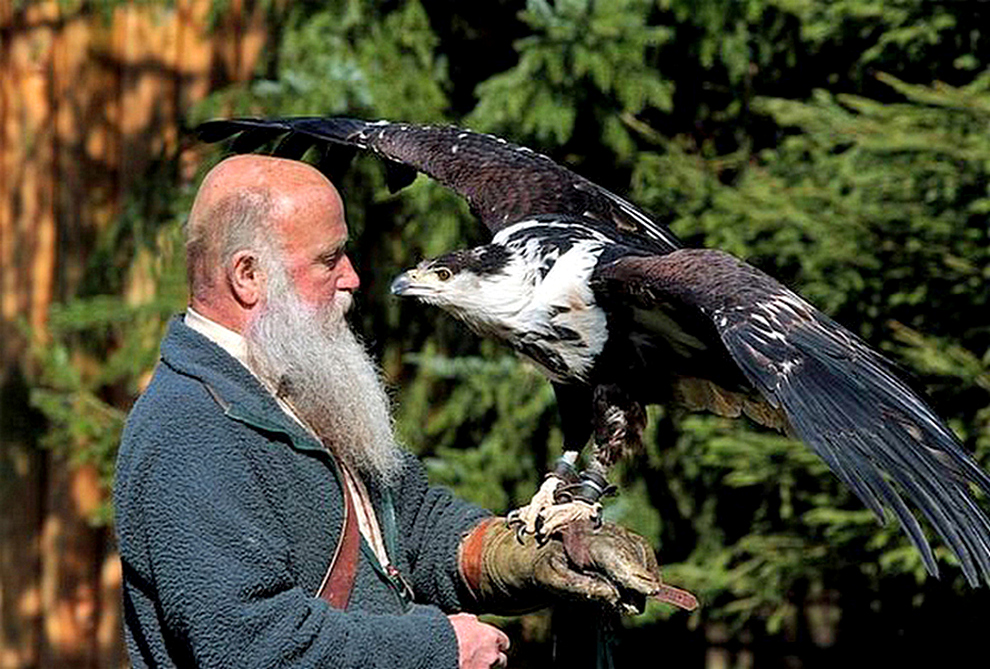 Der Mensch und sein Tier