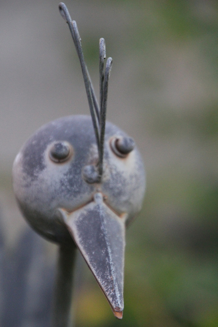 Der Metalvogel