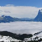 Der meteorologische Sommeranfang 2011