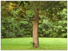 Der meteorologische Übergang