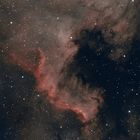 der Mexikanische Teil im Nordamerikanebel NGC 7000