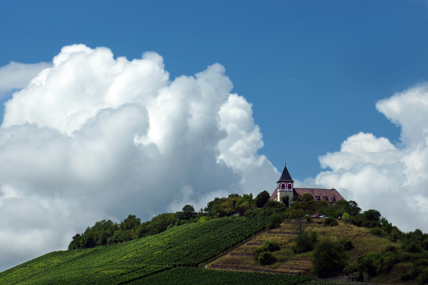 Der Michaelsberg bei Cleebronn