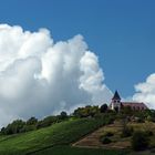 Der Michaelsberg bei Cleebronn