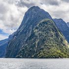 Der Milford Sound