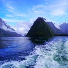 Der Milford Sound in Neuseeland