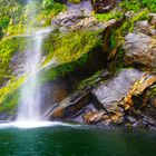 Der Milford Sound in Neuseeland