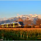 Der "Minuetto" und die erste Schnee