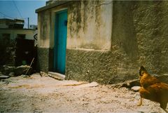 Der misslungene Versuch, ein Huhn zu fotografieren  (1987)