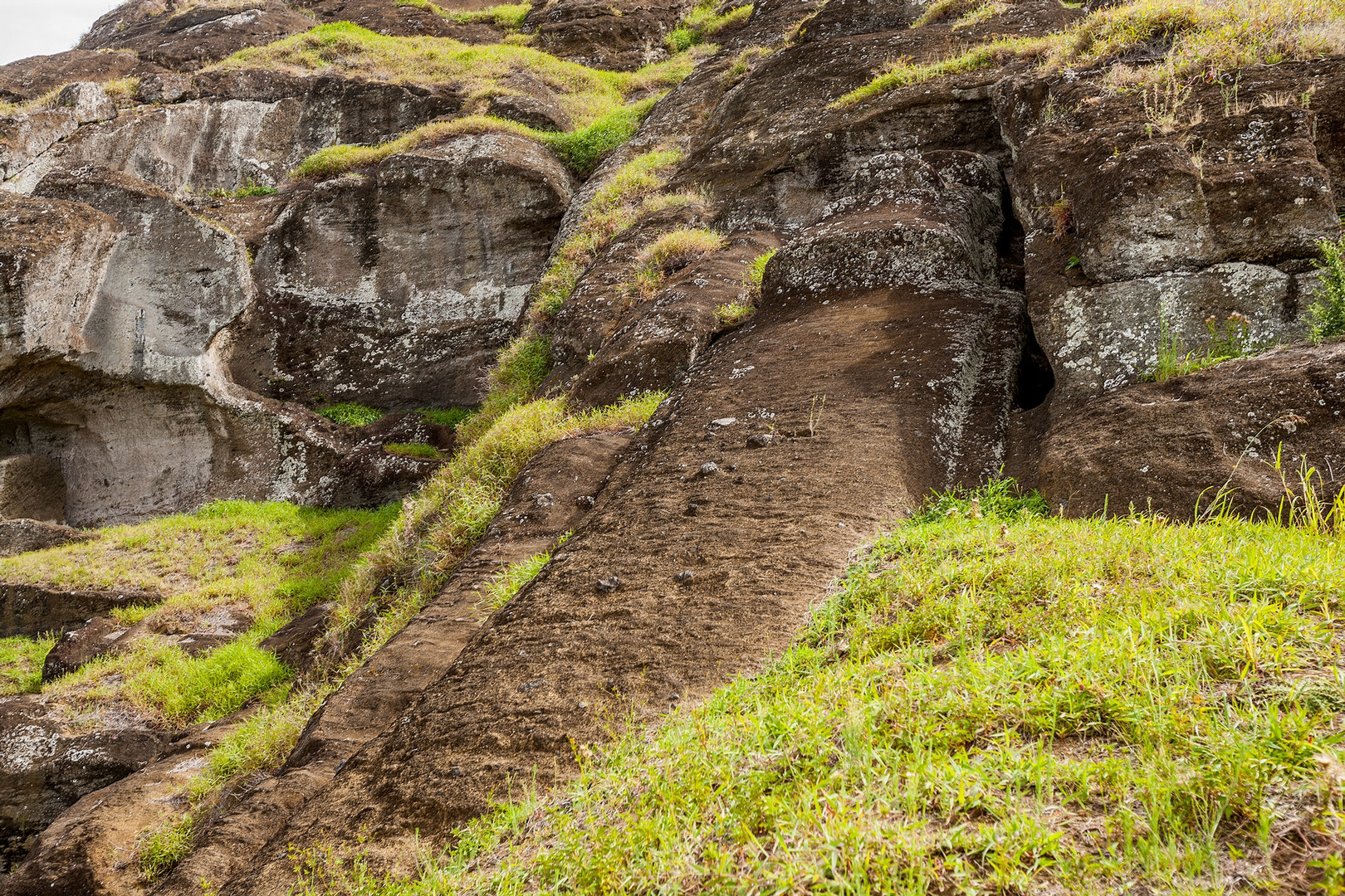 Der mit 30m längste unfertige Moai