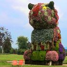 der mit blumen geschmückte