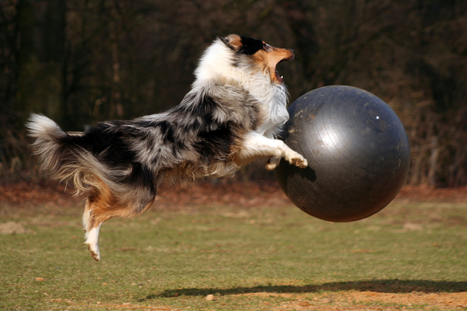 Der mit dem Ball tanzt....