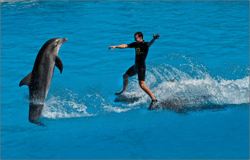 der mit dem Delphin tanzt