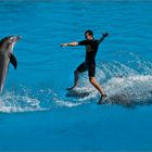 der mit dem Delphin tanzt