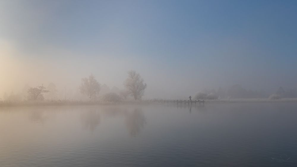 Der mit dem Nebel Tanzte