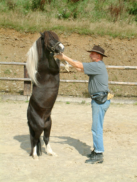 "Der mit dem Pferd tanzt"