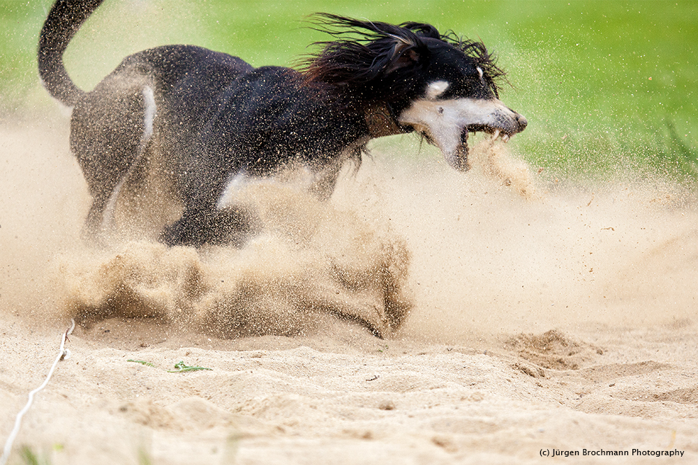 Der mit dem Sand spuckt ...