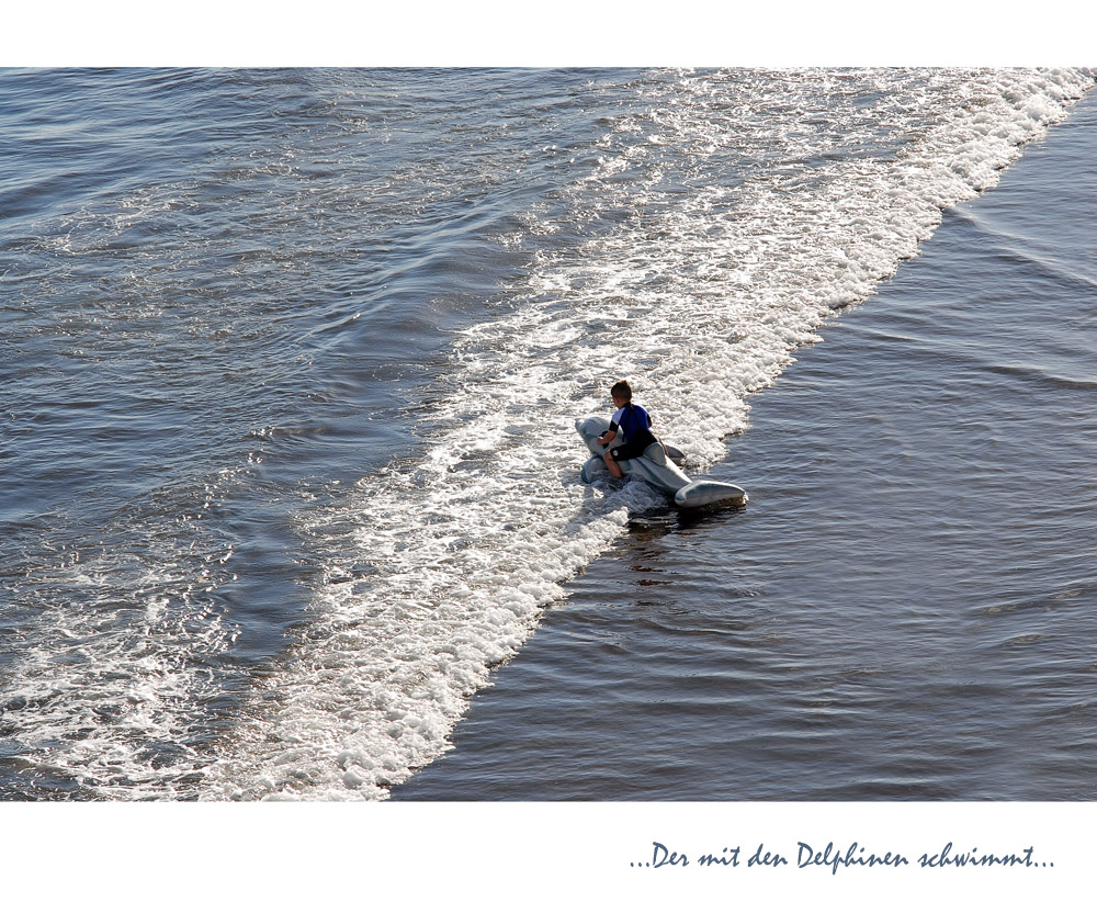 ...Der mit den Delphinen schwimmt...