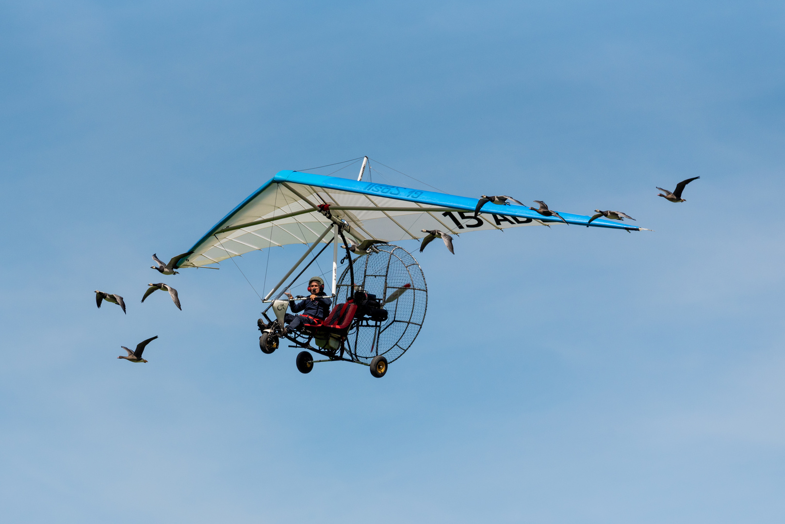 Der mit den Gänsen fliegt, Airshow Zigermeet 2019, Mollis