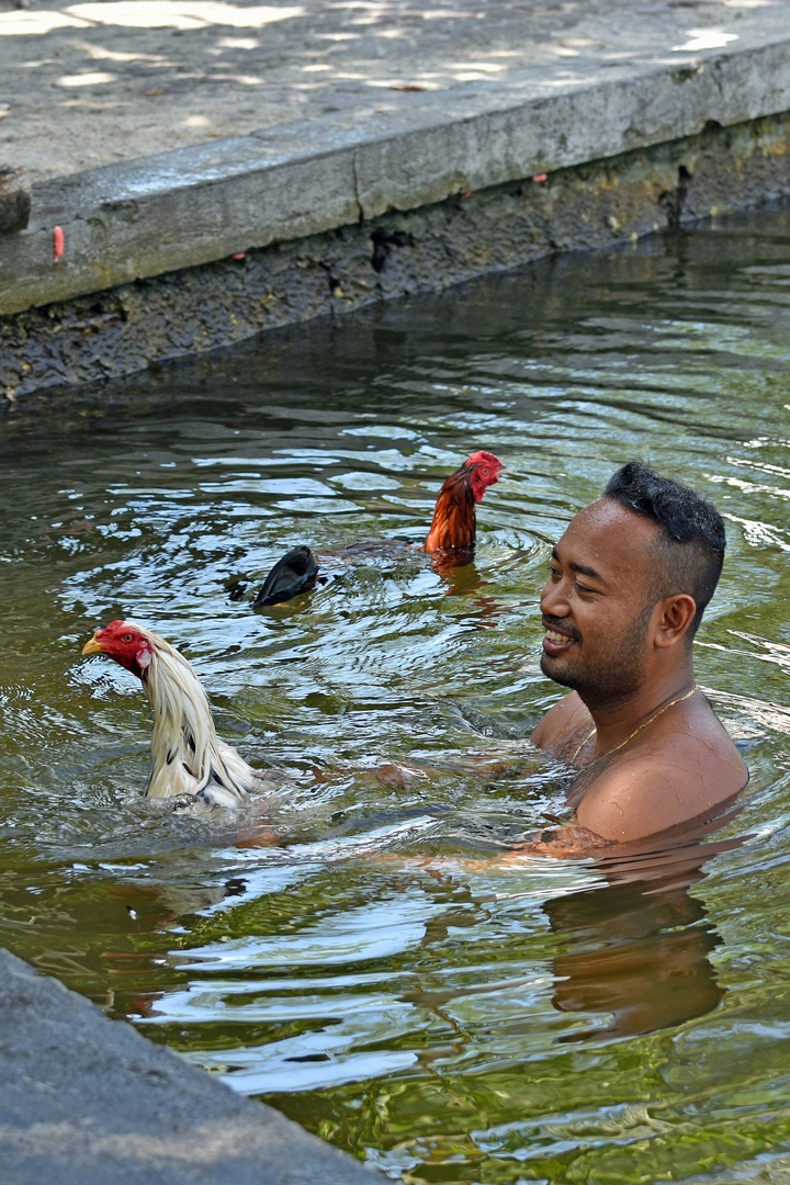 Der mit den "Hühnern" schwimmt