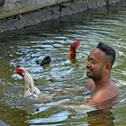 Der mit den "Hühnern" schwimmt