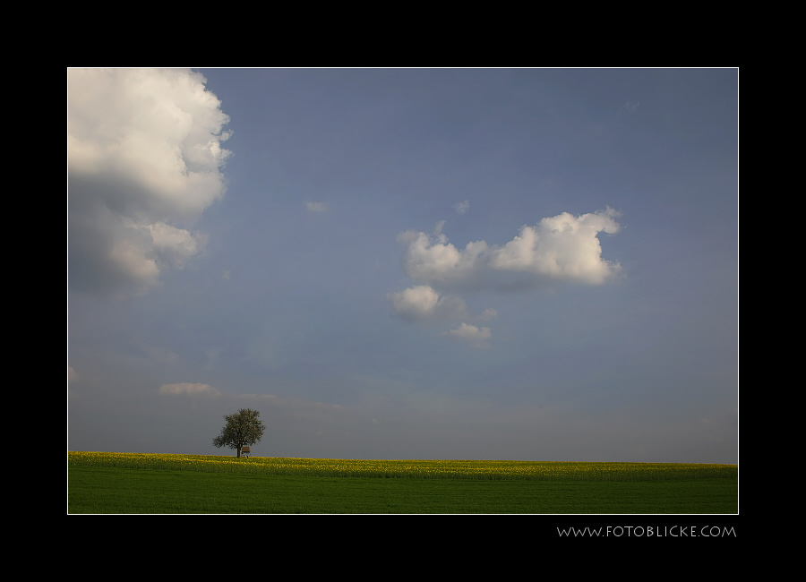 Der mit der Wolke