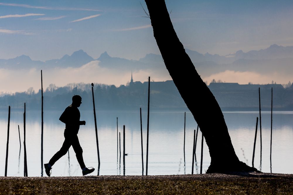 Der Mittags Jogger