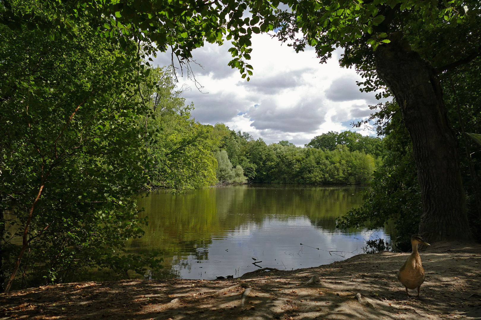 Der Mittelteich