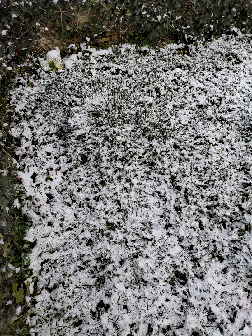 Der Mittwoch in schwarz weiss Teil 2