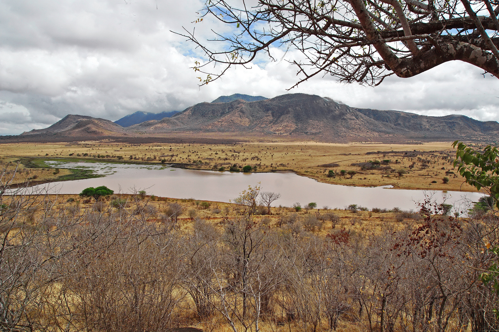 Der Mkomazi National Park