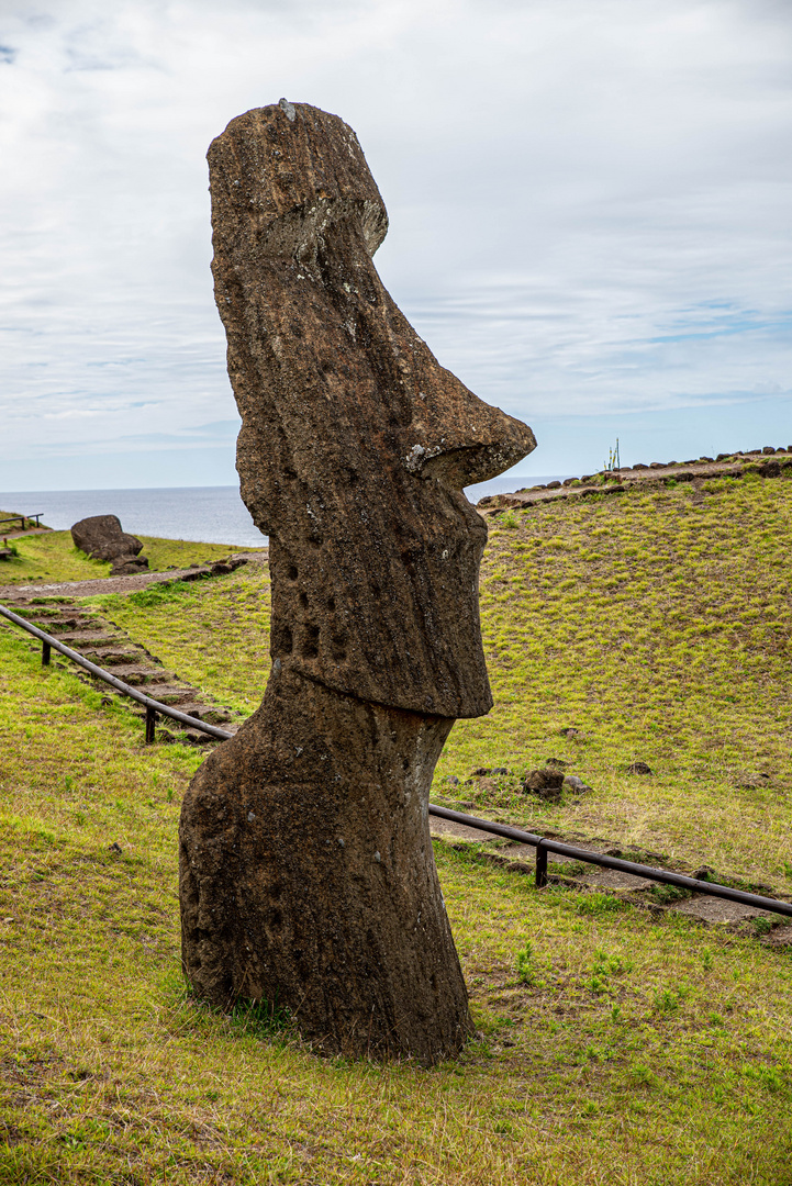 Der Moai Piropiro