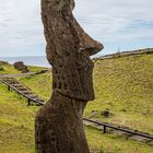 Der Moai Piropiro