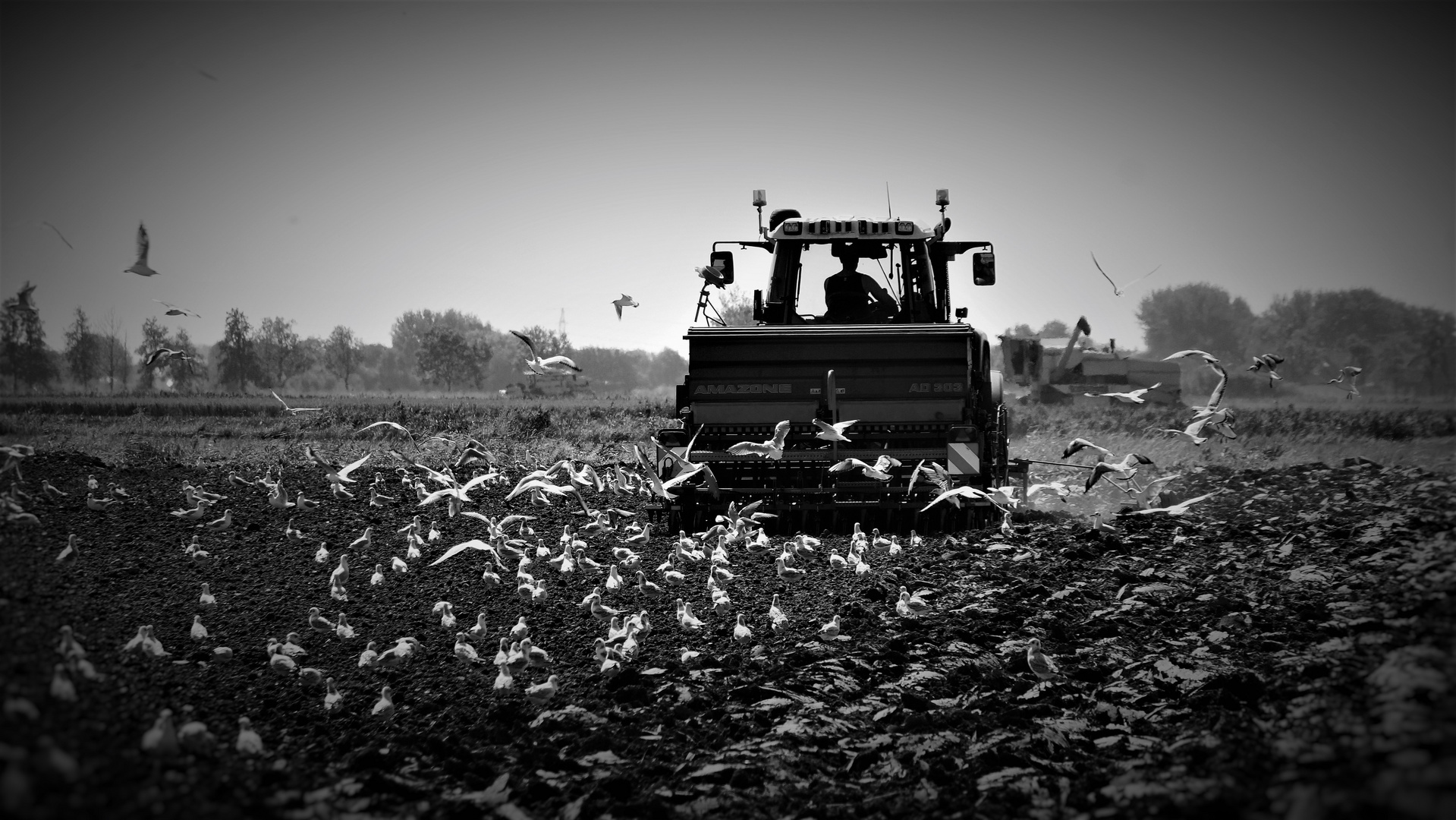 der moderne landwirt