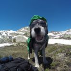 Der moderne Wanderhund trägt Brille und Sonnenschutz! :-)