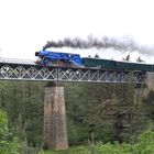 Der "modrý papoušek" (blaue Papagei) flog wieder über seine alte Heimat (IV). 