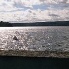 Der Möhnesee – Blick von der Möhnetalsperre bei Möhnesee-Günne (Sauerland)