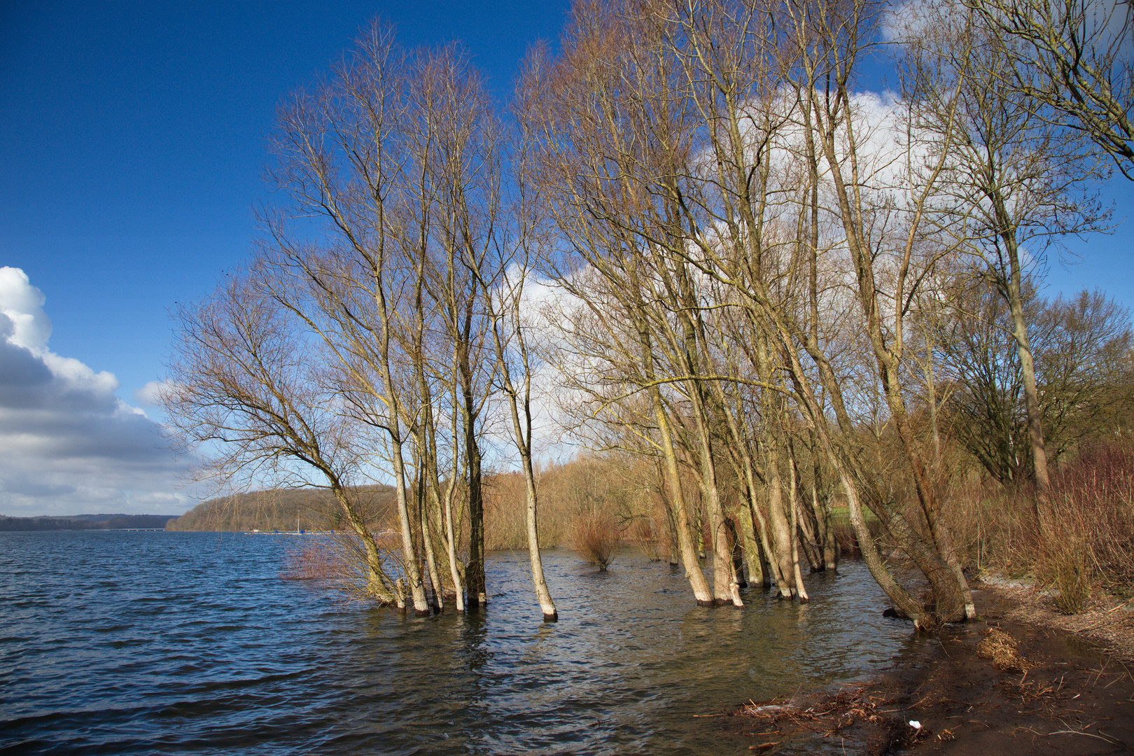 Der Möhnesee ist endlich wieder gut gefüllt ... ;-)