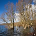 Der Möhnesee ist endlich wieder gut gefüllt ... ;-)