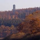 Der Möhneseeturm im Arnsberger Wald oberhalb von Torhaus